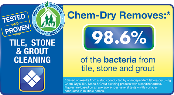 98.6% of bacteria from tile, stone and grout can be eliminated by trusted professionals - image